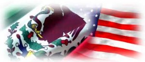 Emprende la coalición entre el SAT y IRS