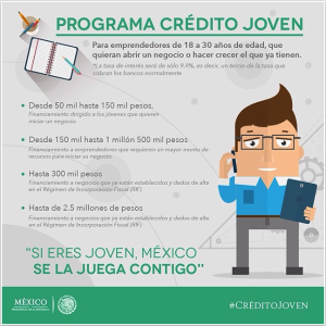 Créditos para jóvenes emprendedores: SHCP